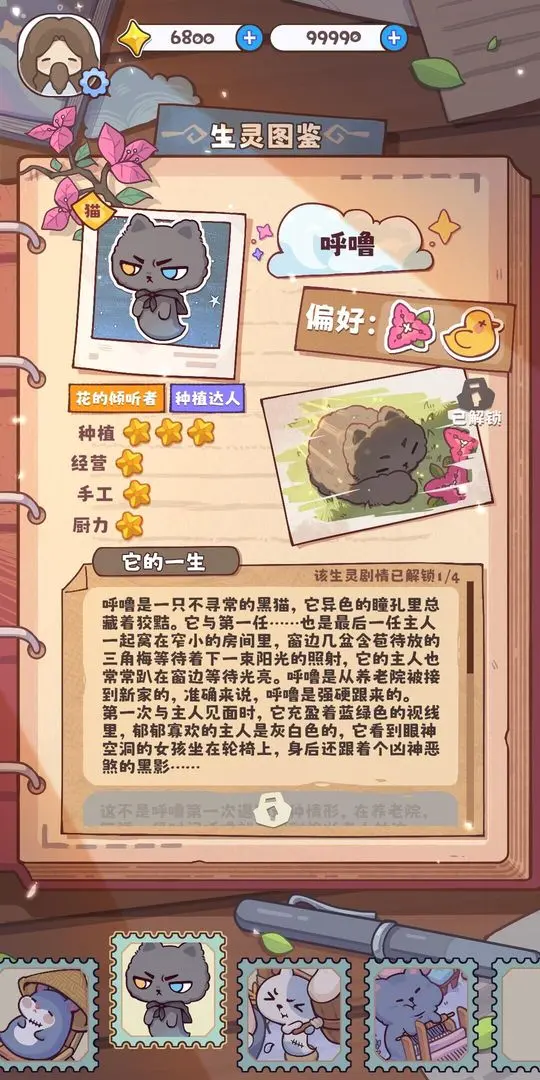 视频展示图