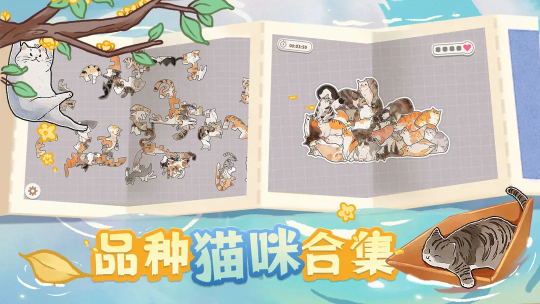 视频展示图