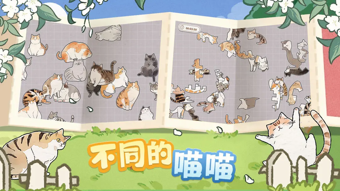 视频展示图