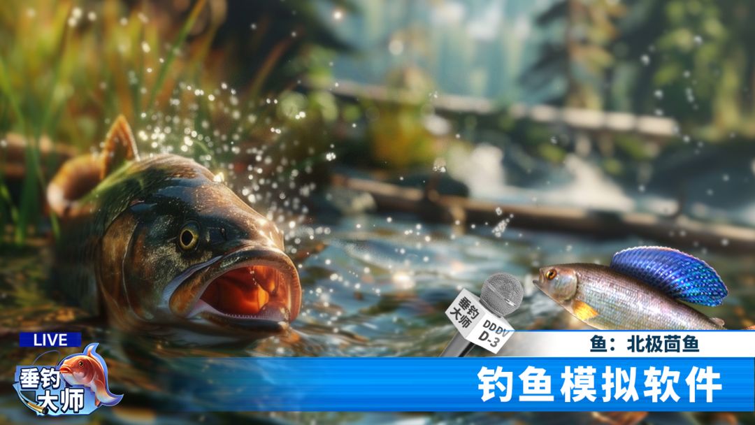 视频展示图
