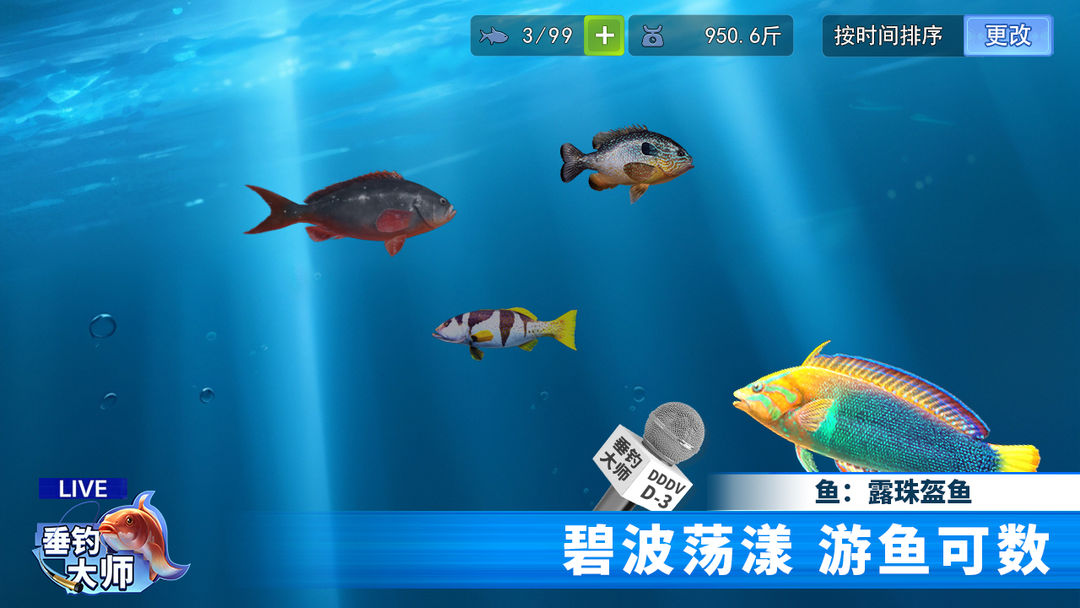 视频展示图