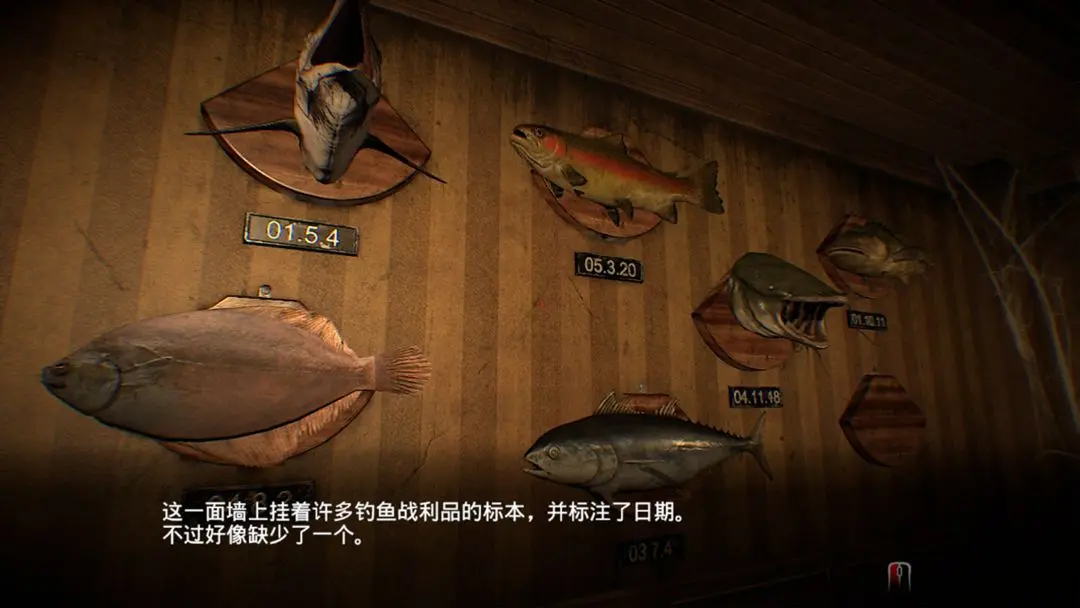 视频展示图