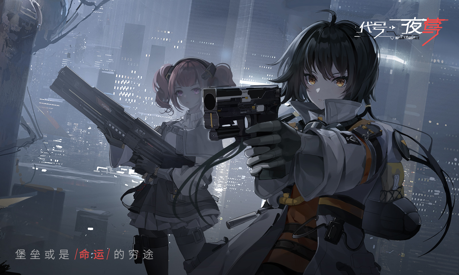 视频展示图