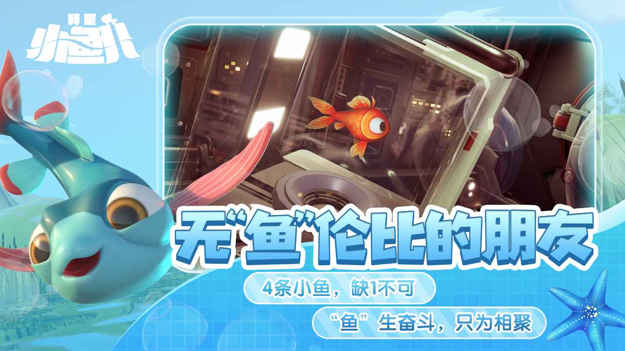 视频展示图