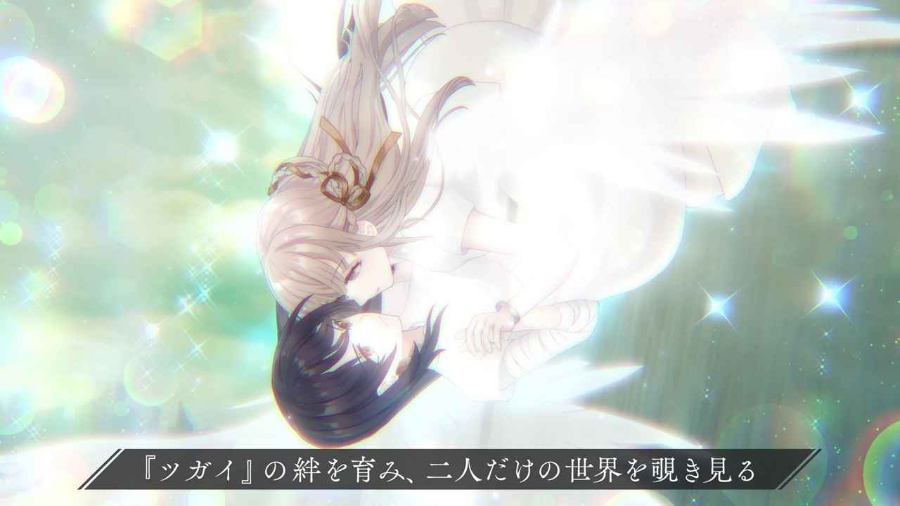 视频展示图