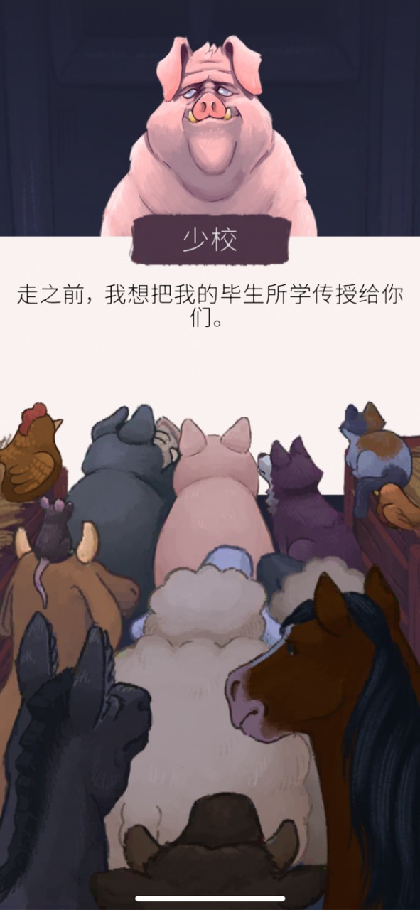 视频展示图