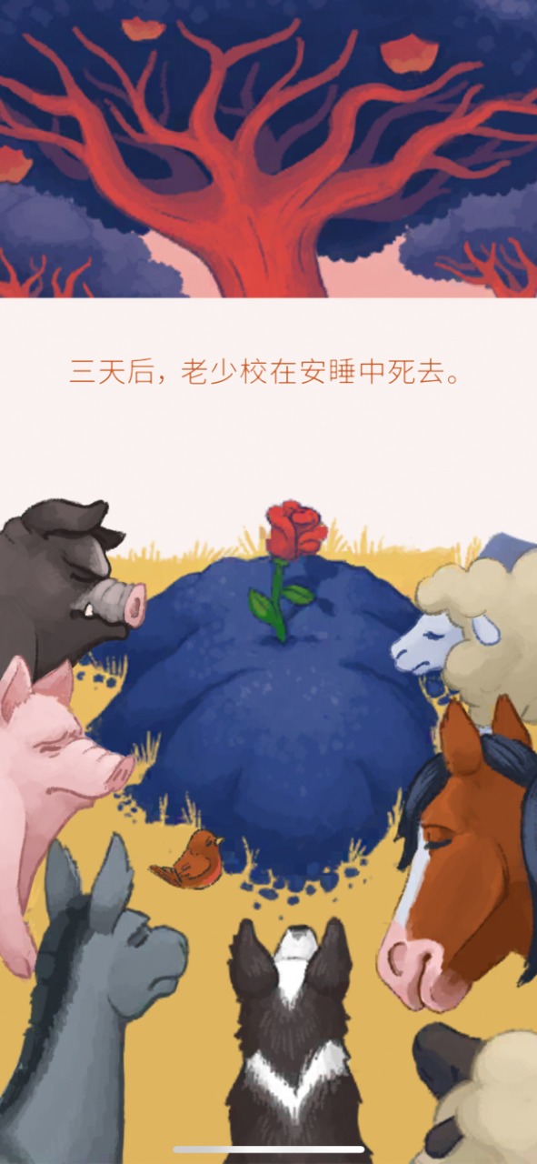 视频展示图
