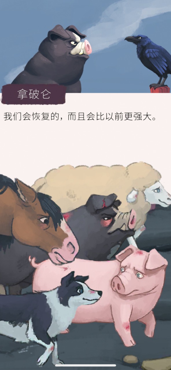 视频展示图