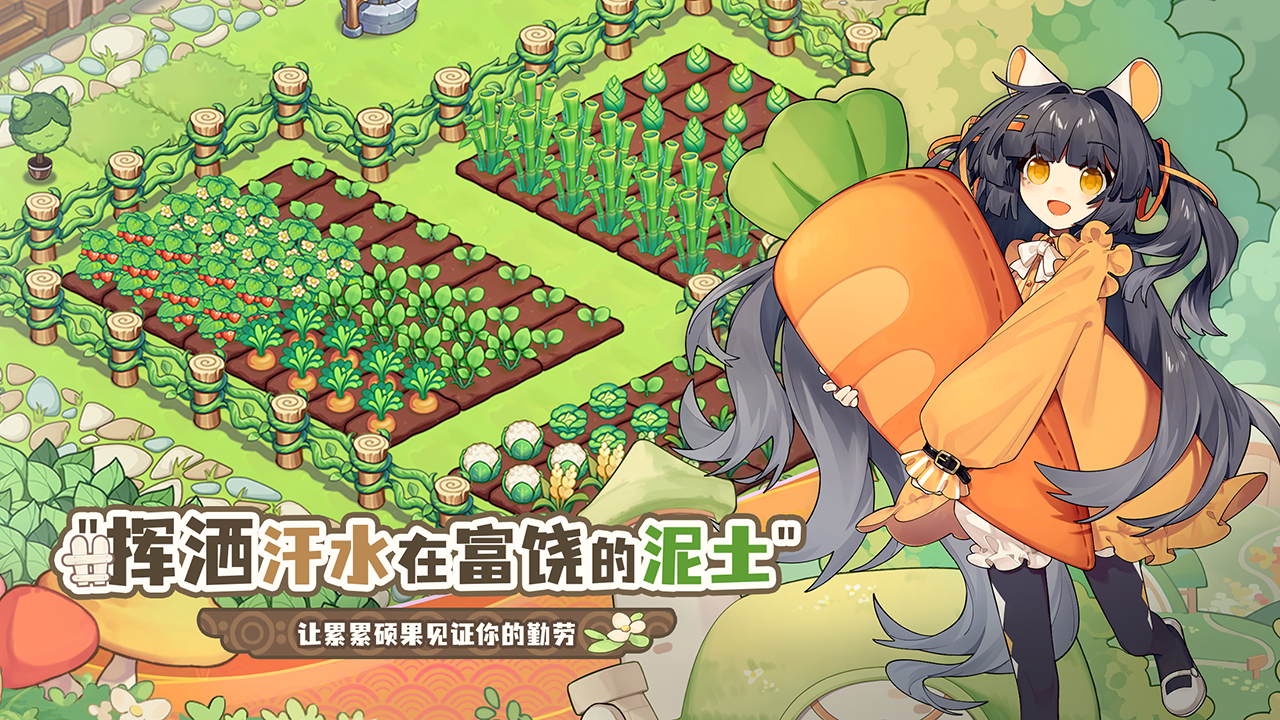 视频展示图