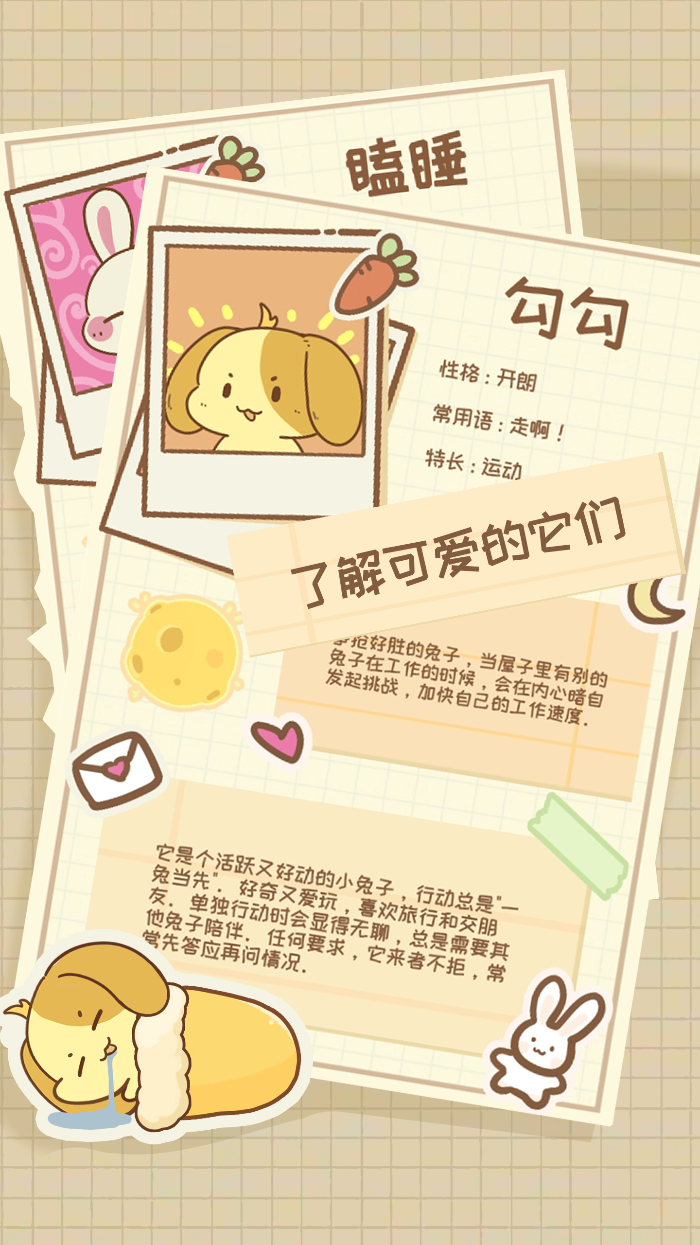 视频展示图