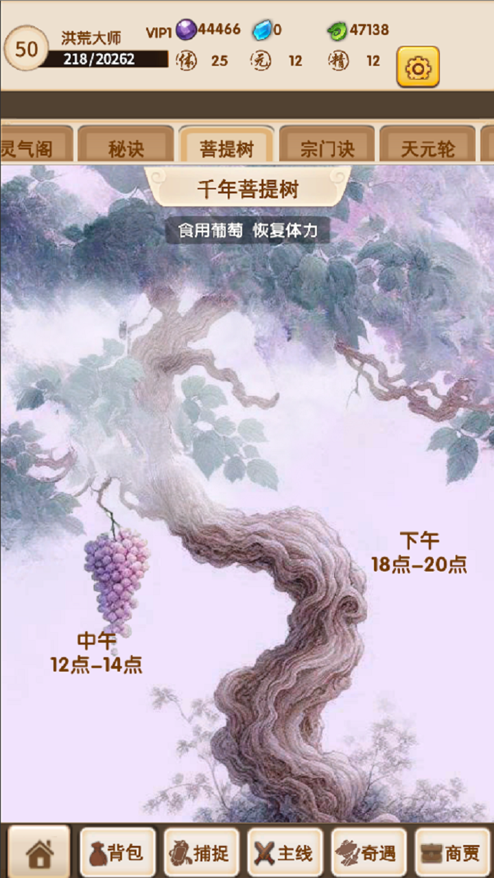 视频展示图