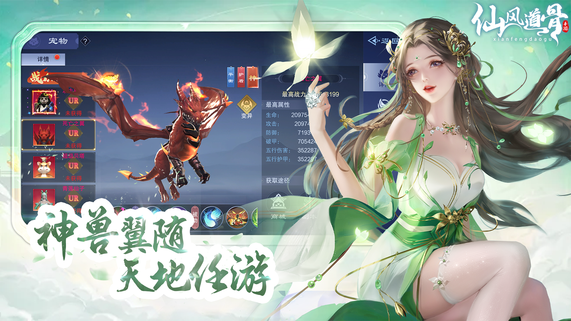 视频展示图
