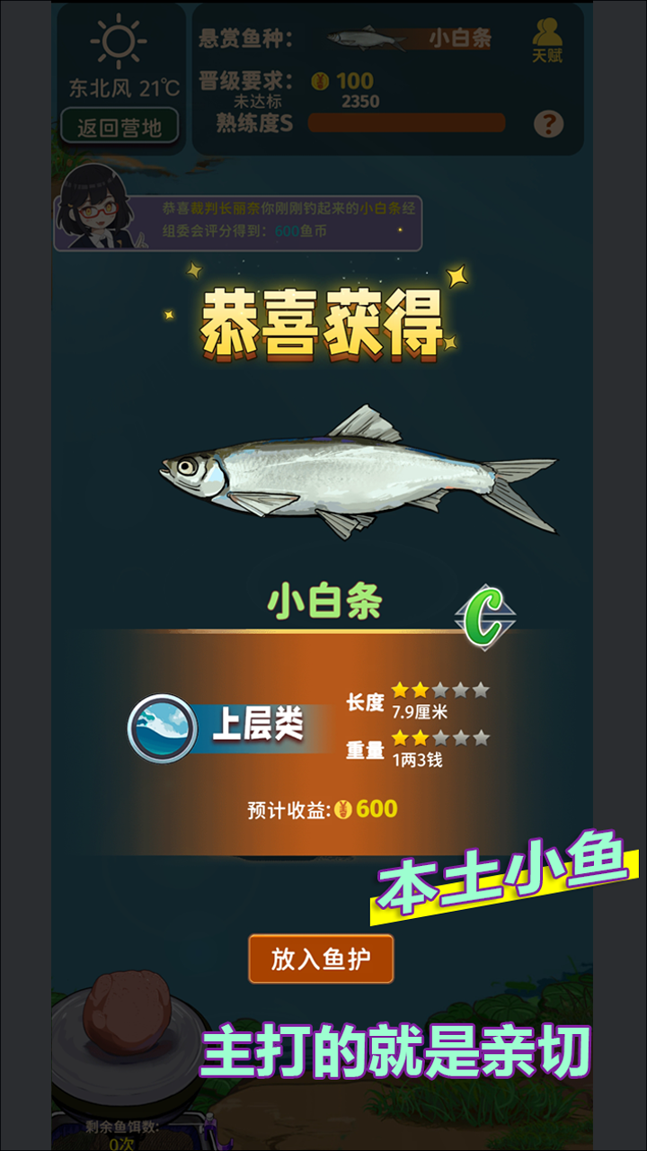 视频展示图