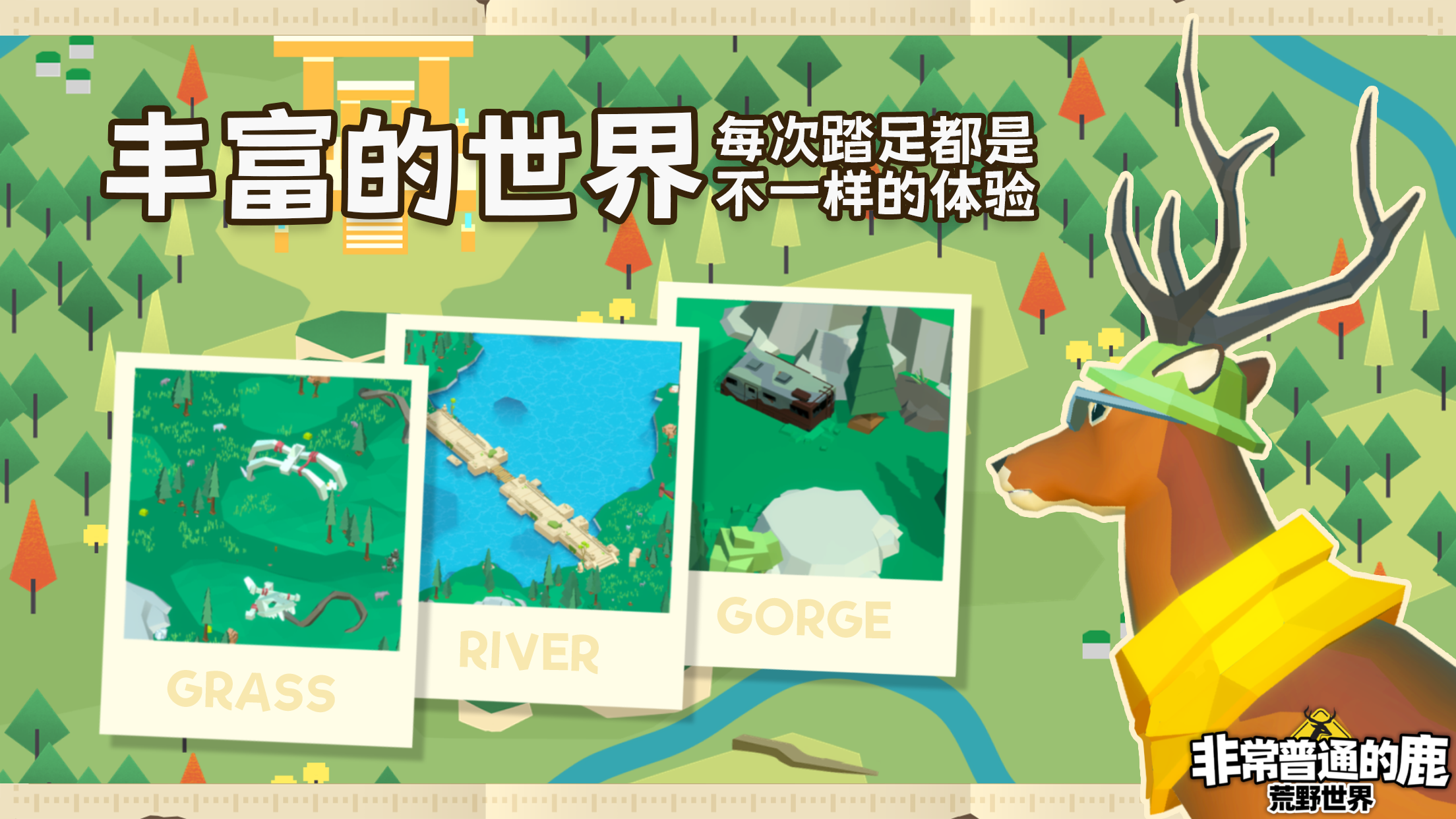 视频展示图