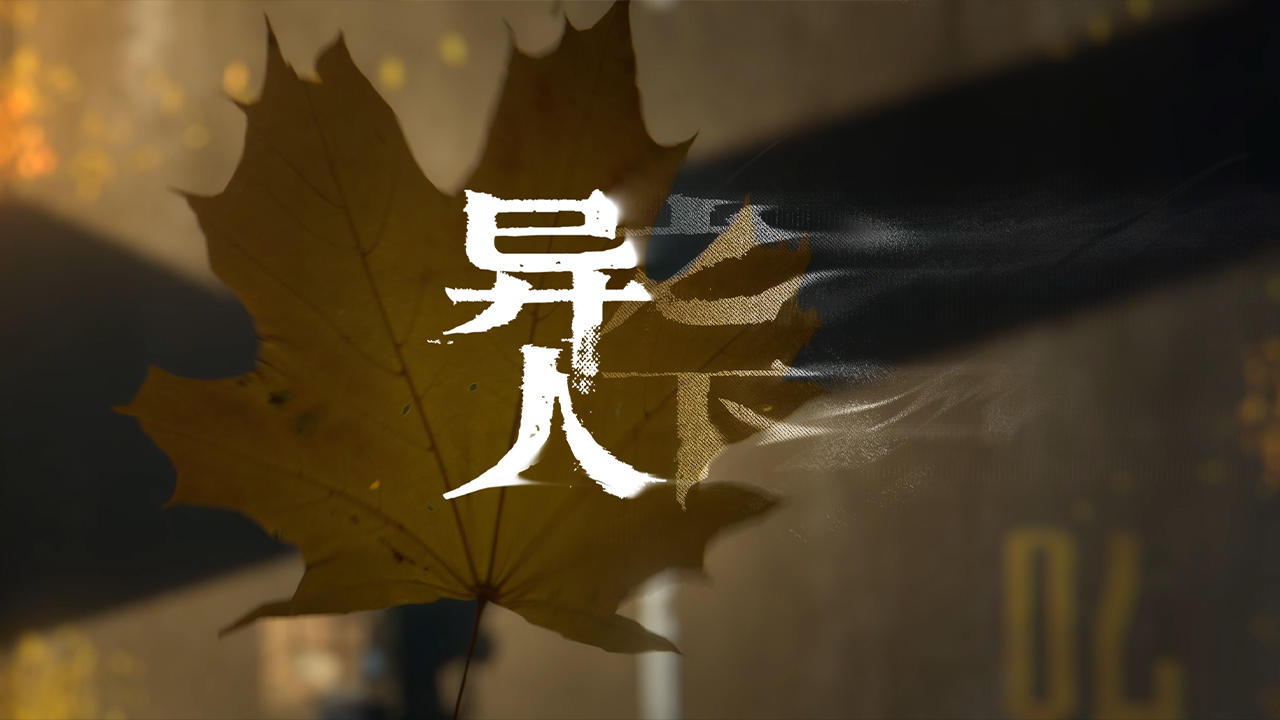 视频展示图