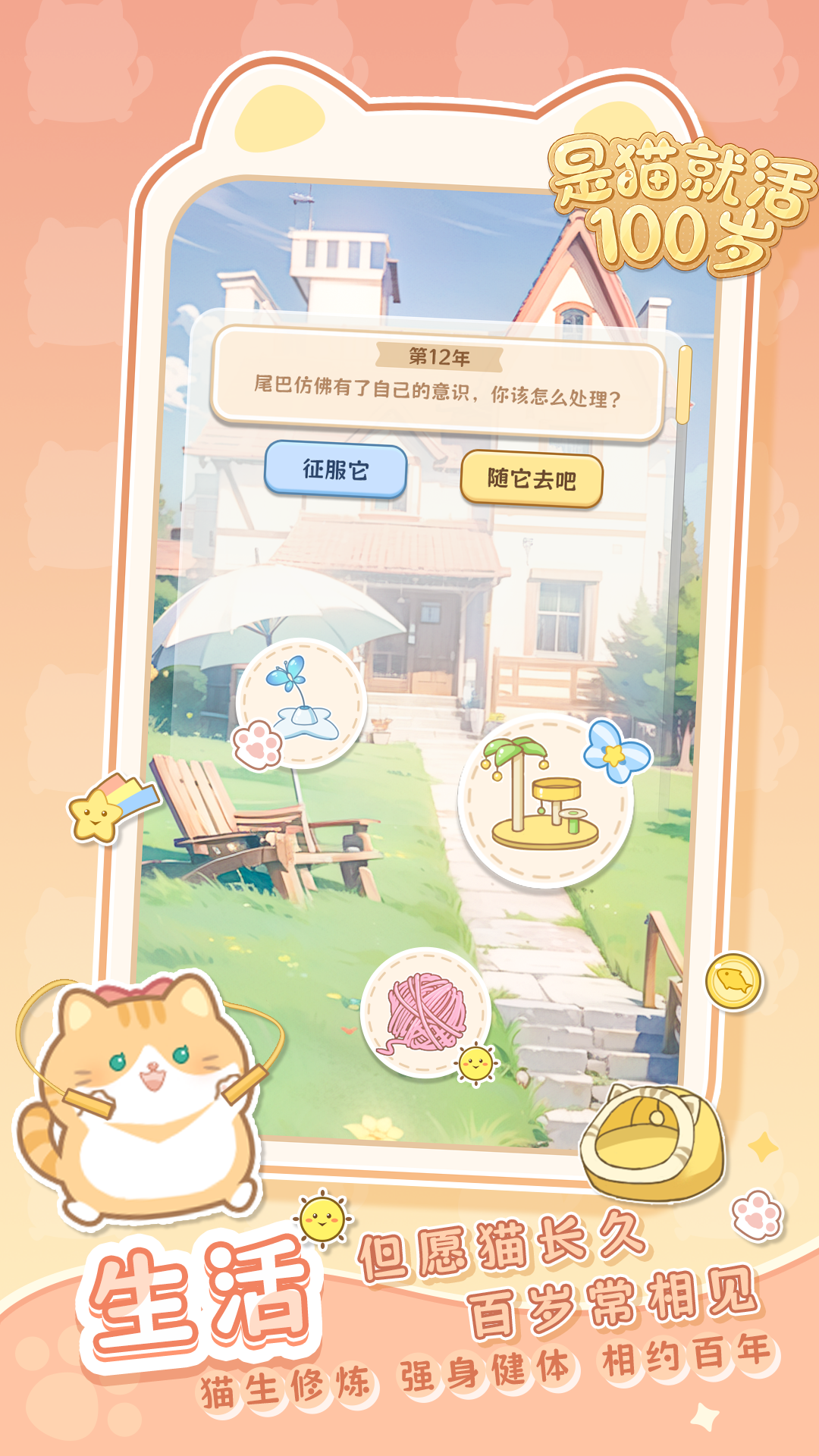 视频展示图