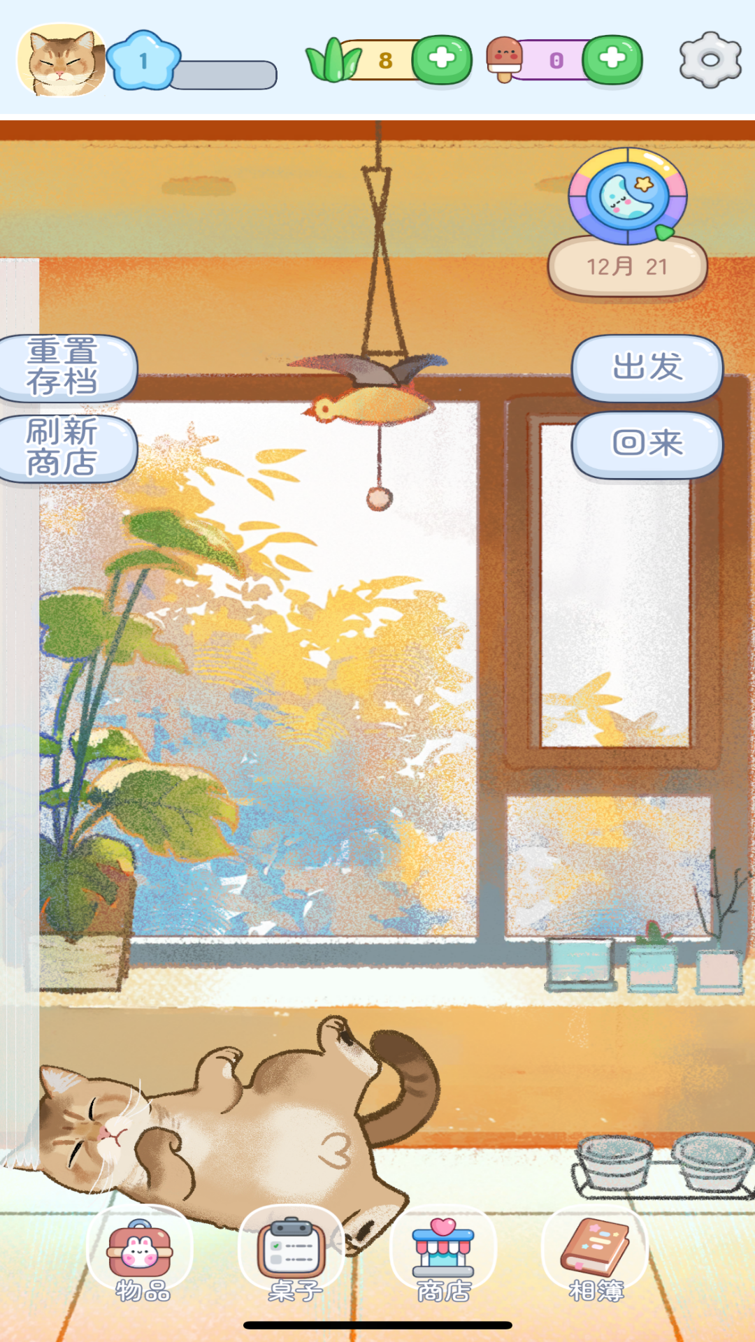 视频展示图