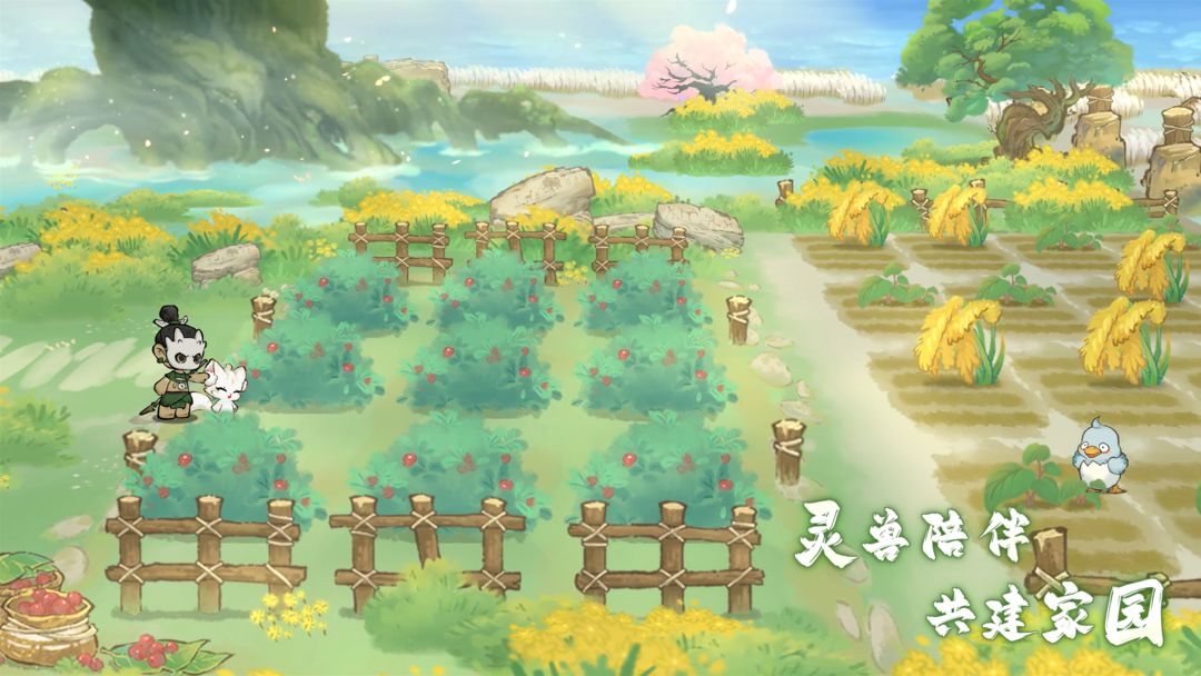 视频展示图