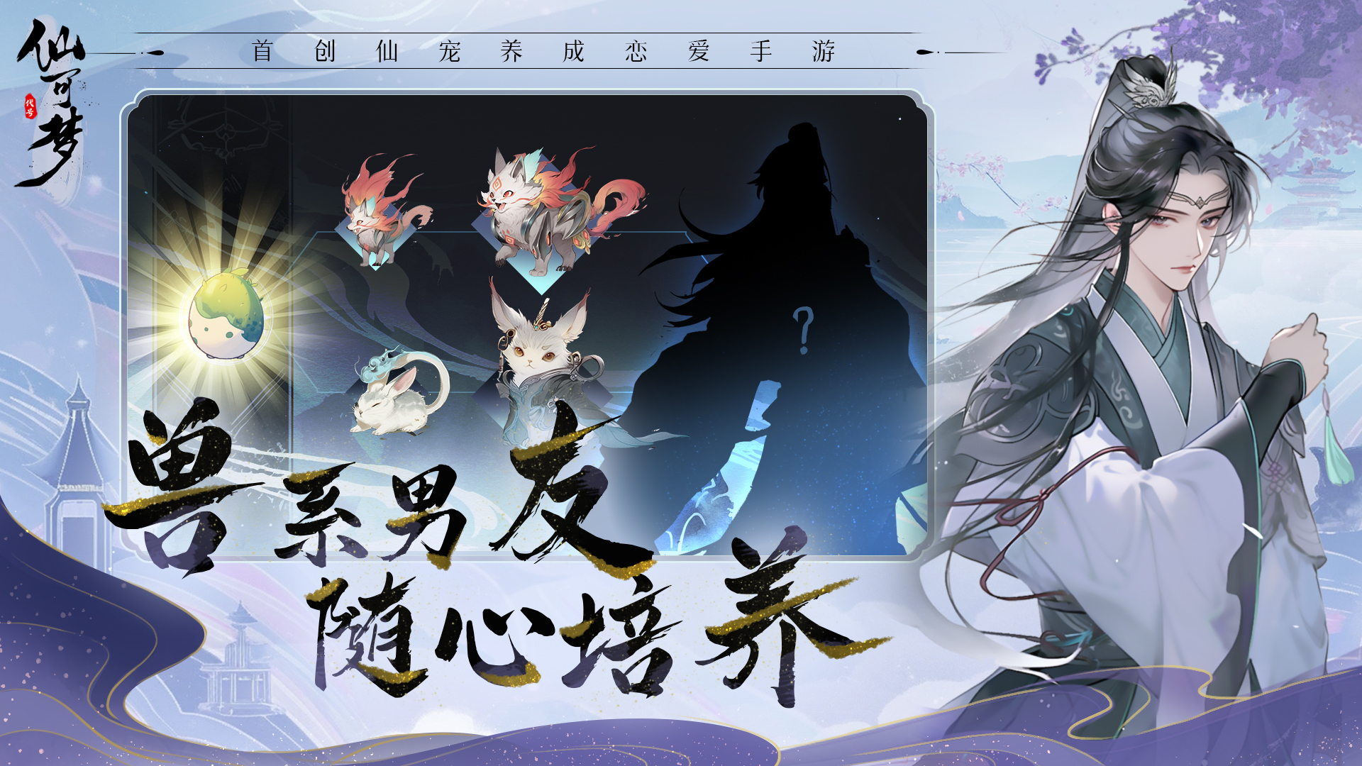 视频展示图