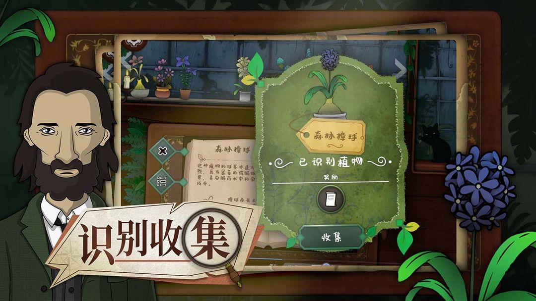 视频展示图