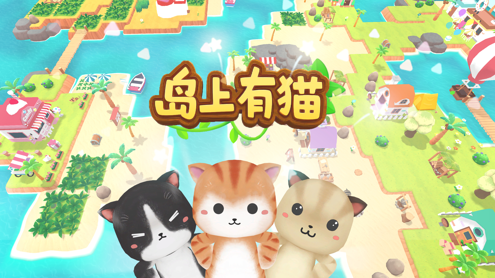 视频展示图