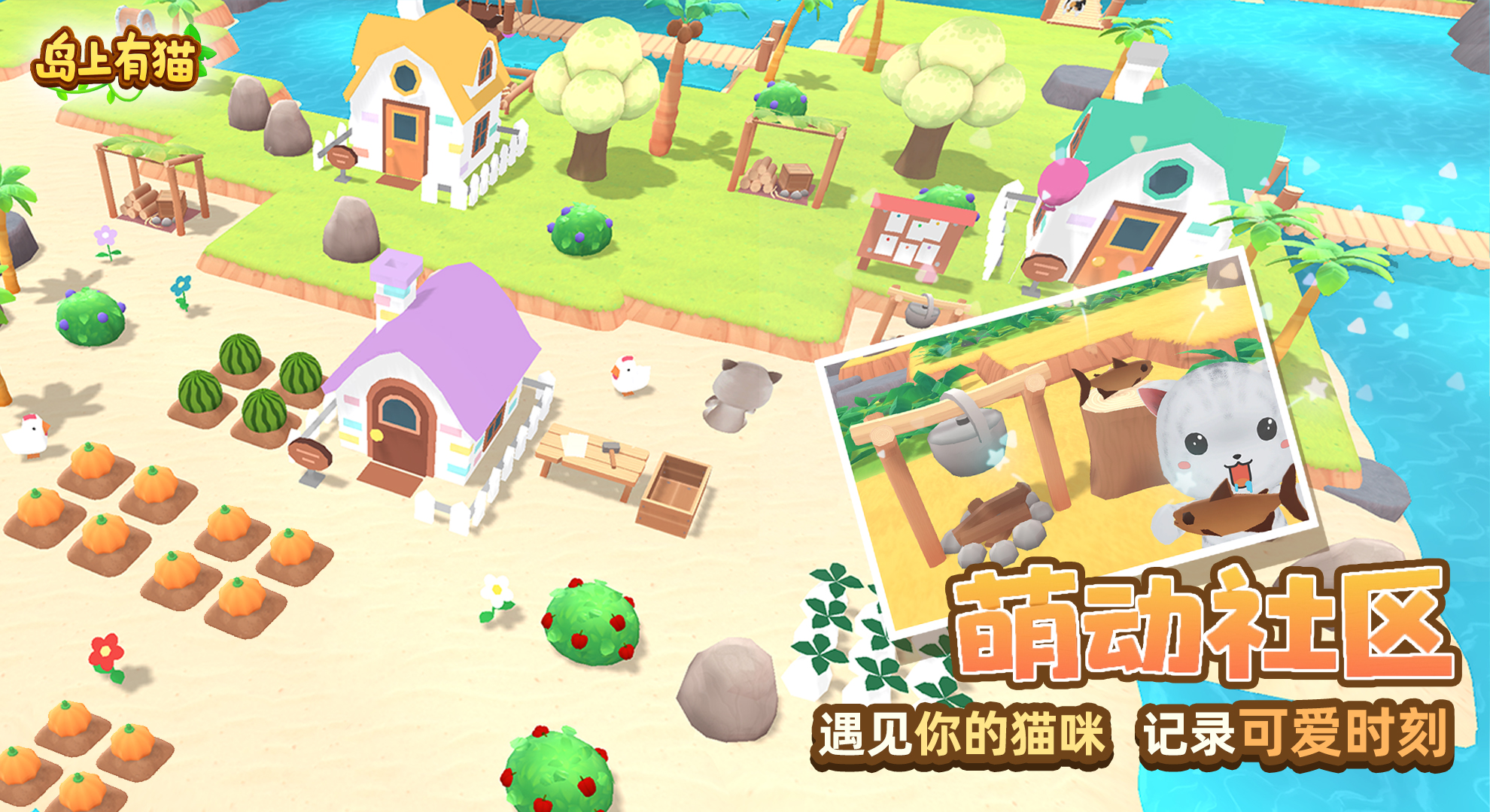 视频展示图