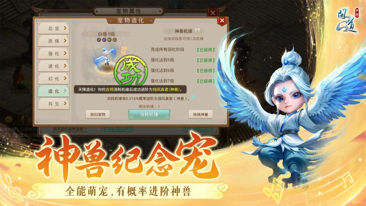 视频展示图