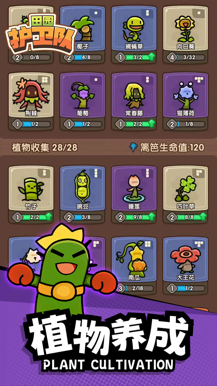 视频展示图