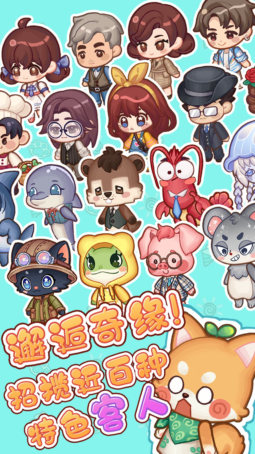 视频展示图