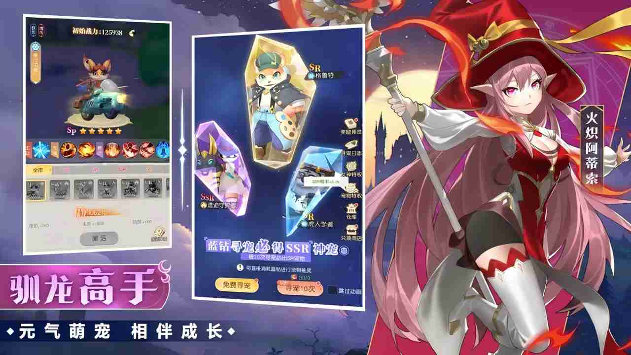 视频展示图