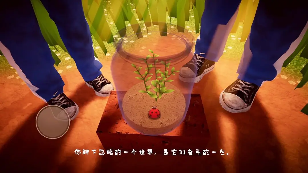 视频展示图