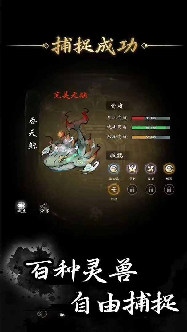 视频展示图