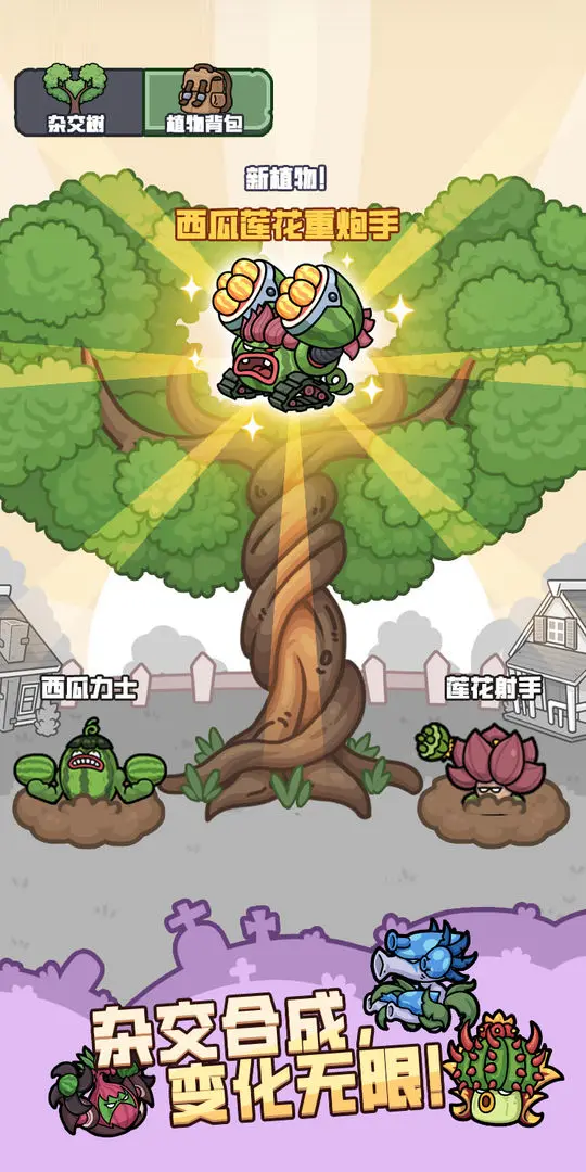 视频展示图