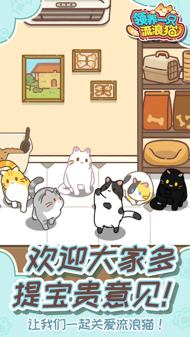 视频展示图