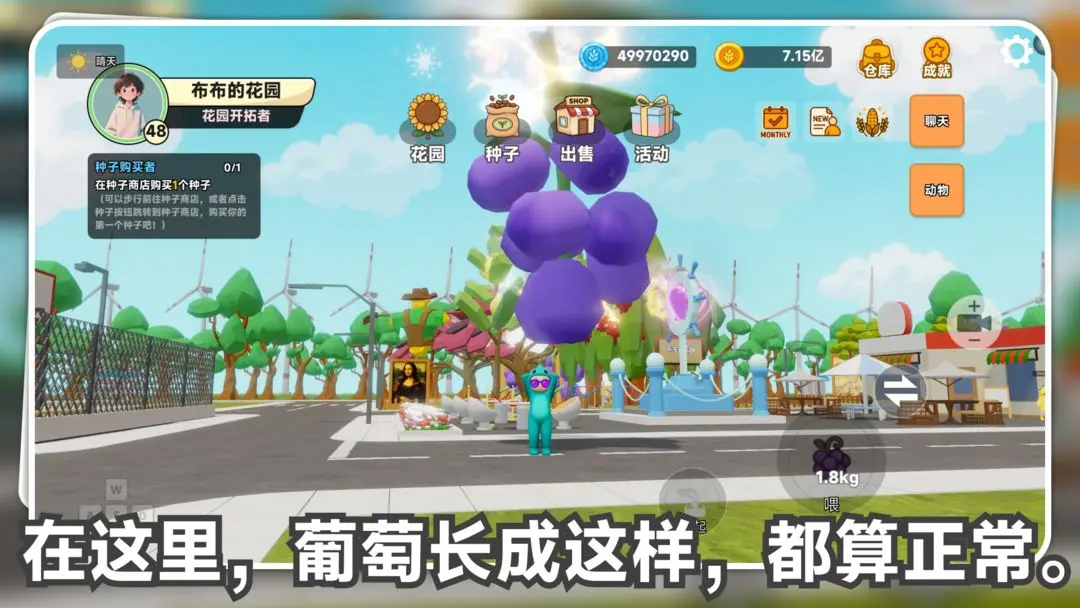 视频展示图