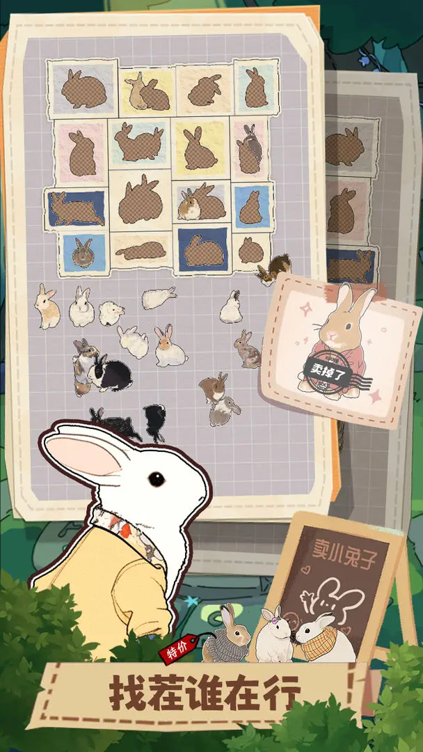 视频展示图