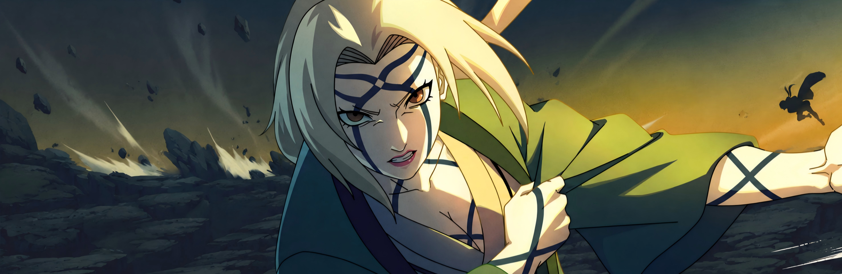 banner
