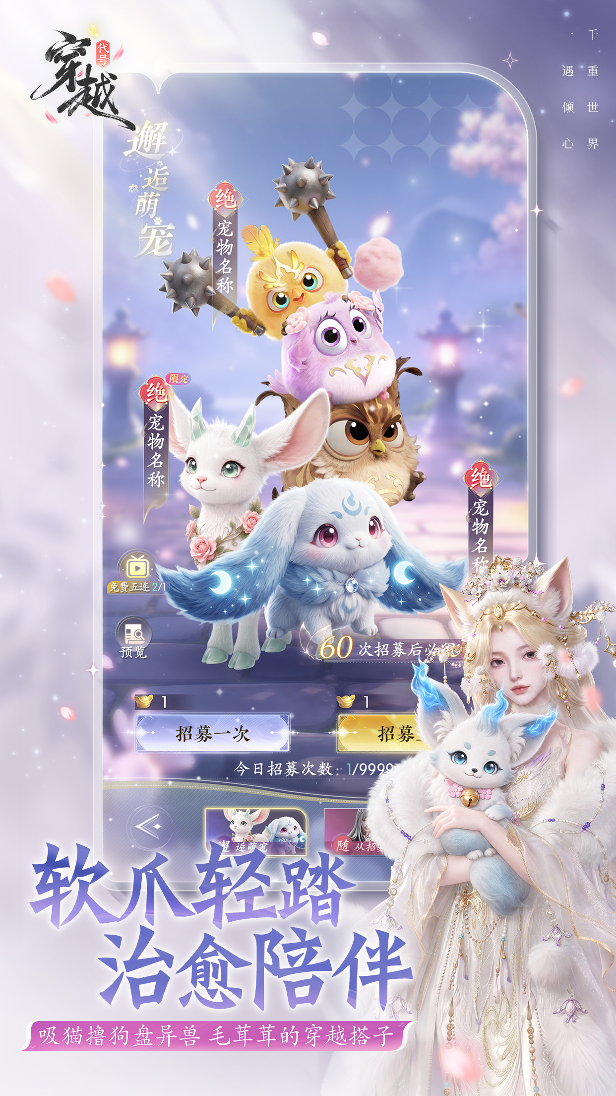 视频展示图
