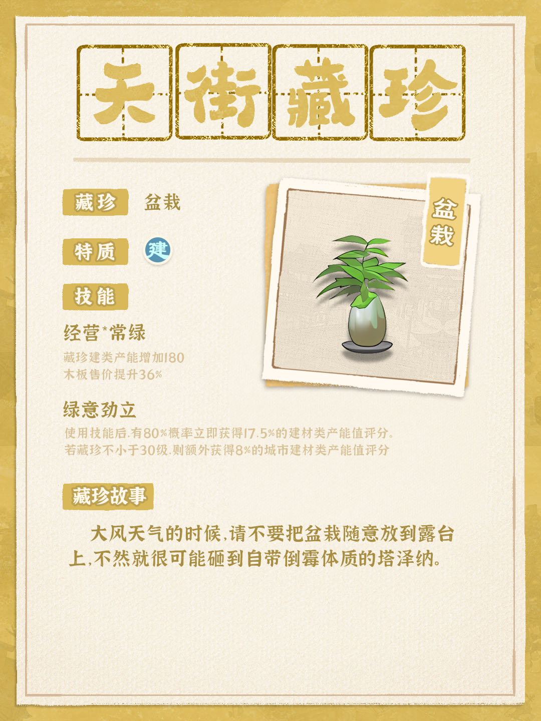 金色-盆栽