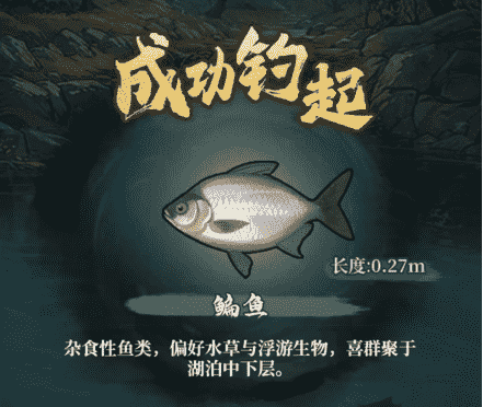 图片 7 - （1）