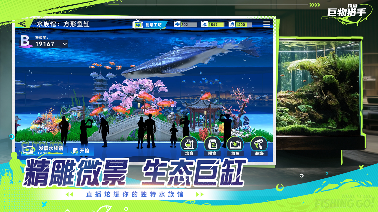 视频展示图