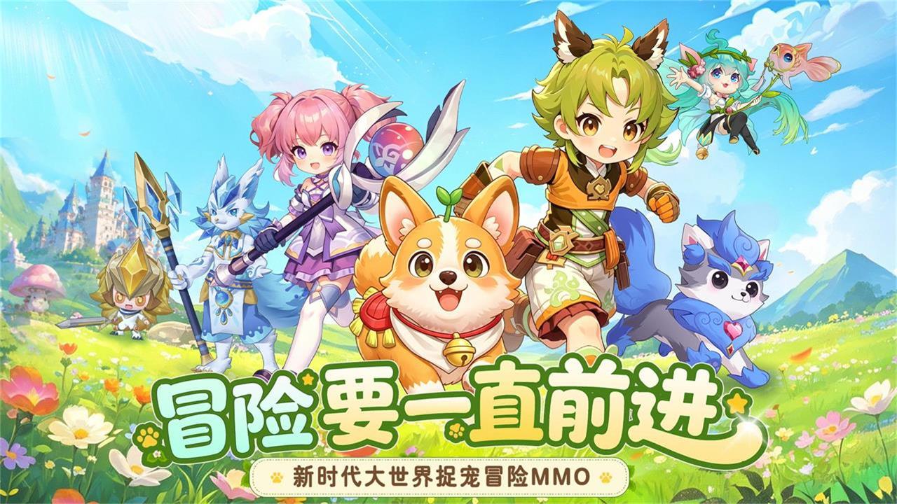 视频展示图