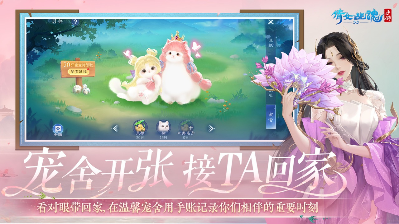 视频展示图