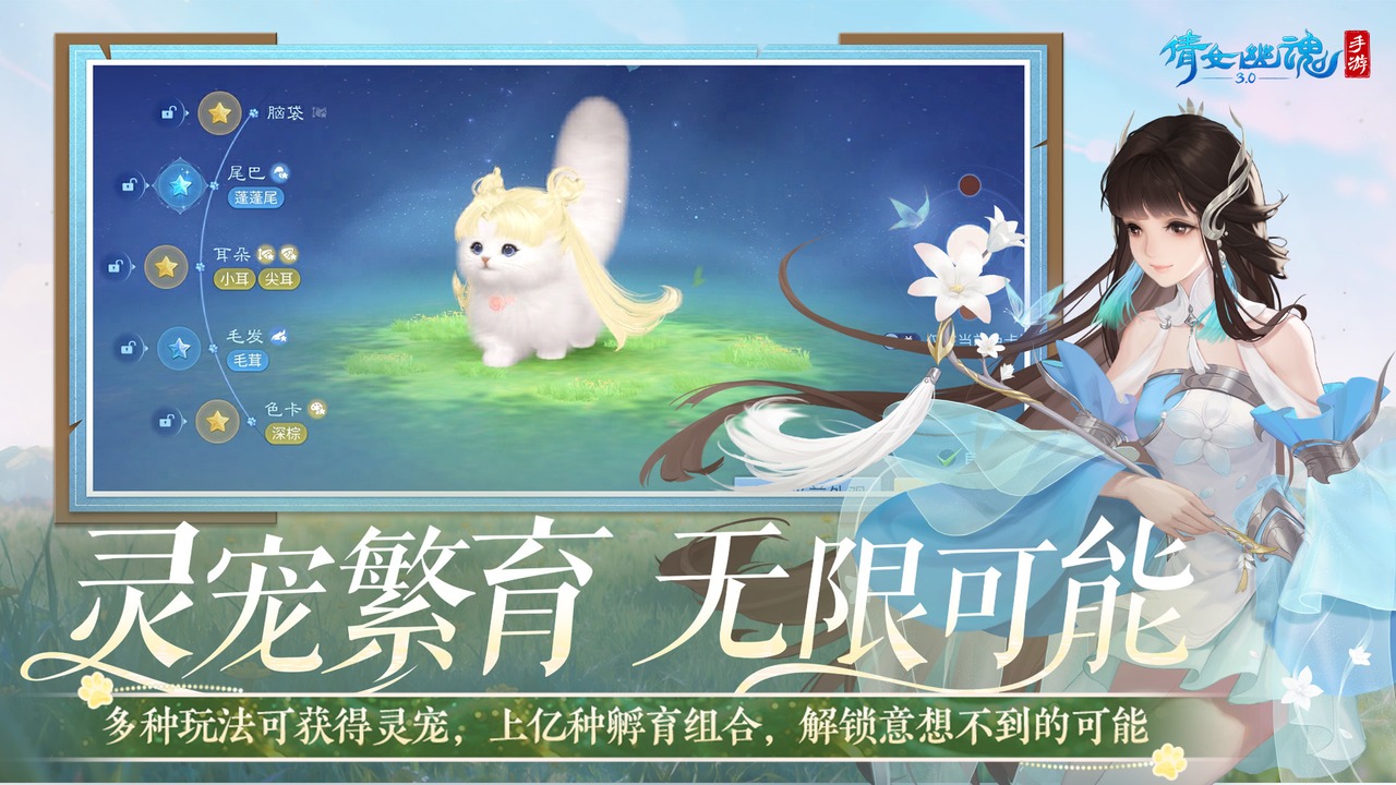 视频展示图