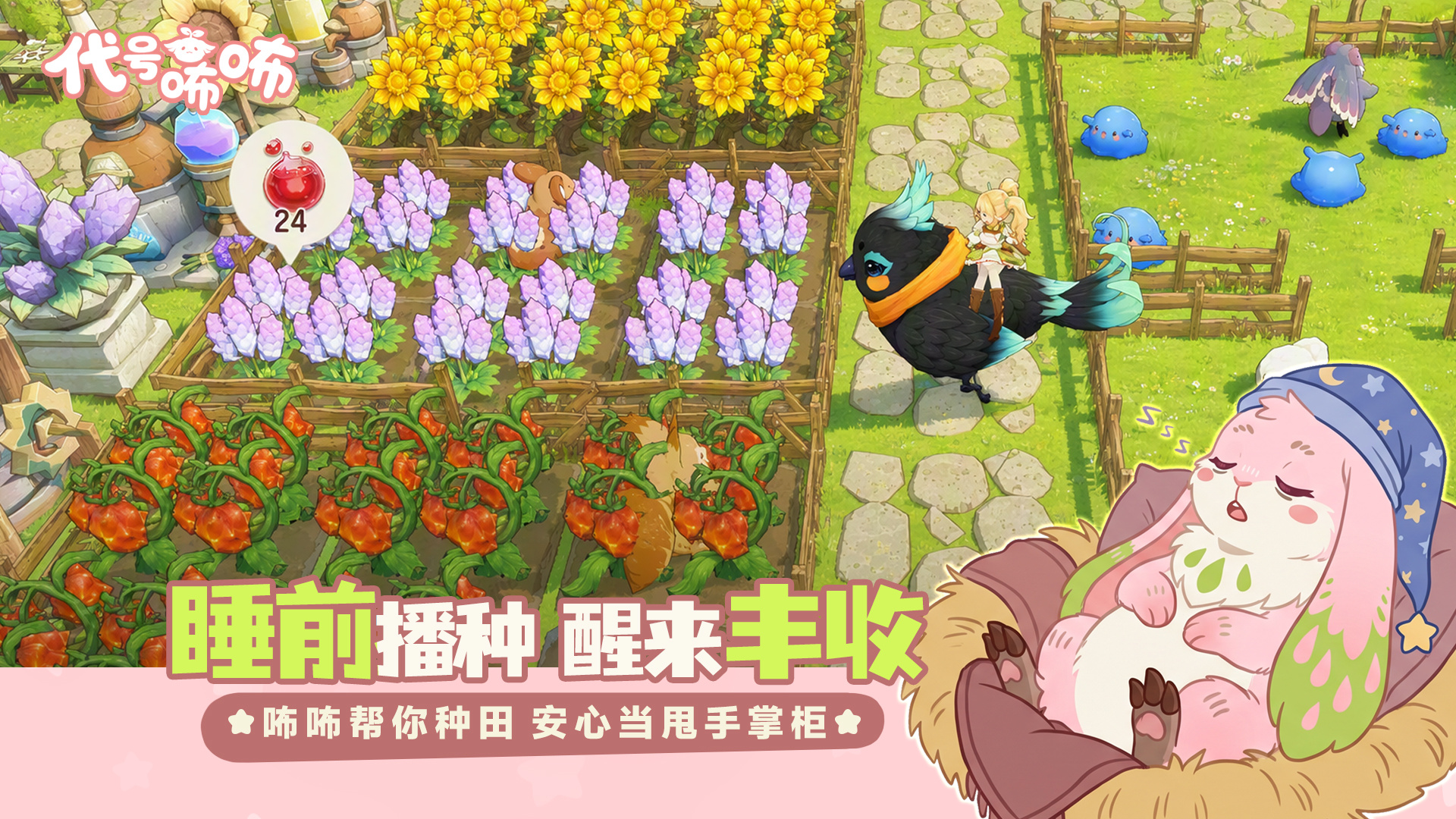 视频展示图