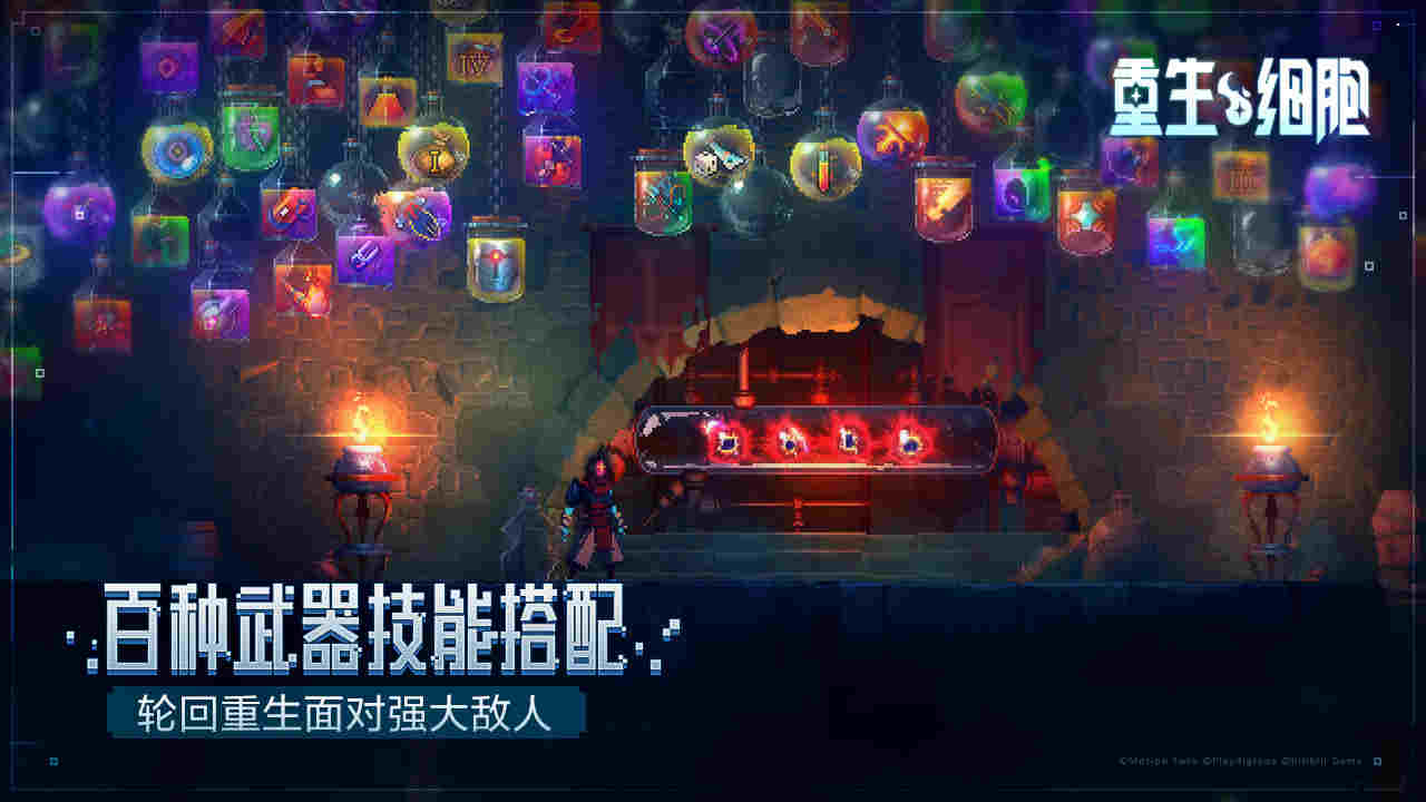 视频展示图