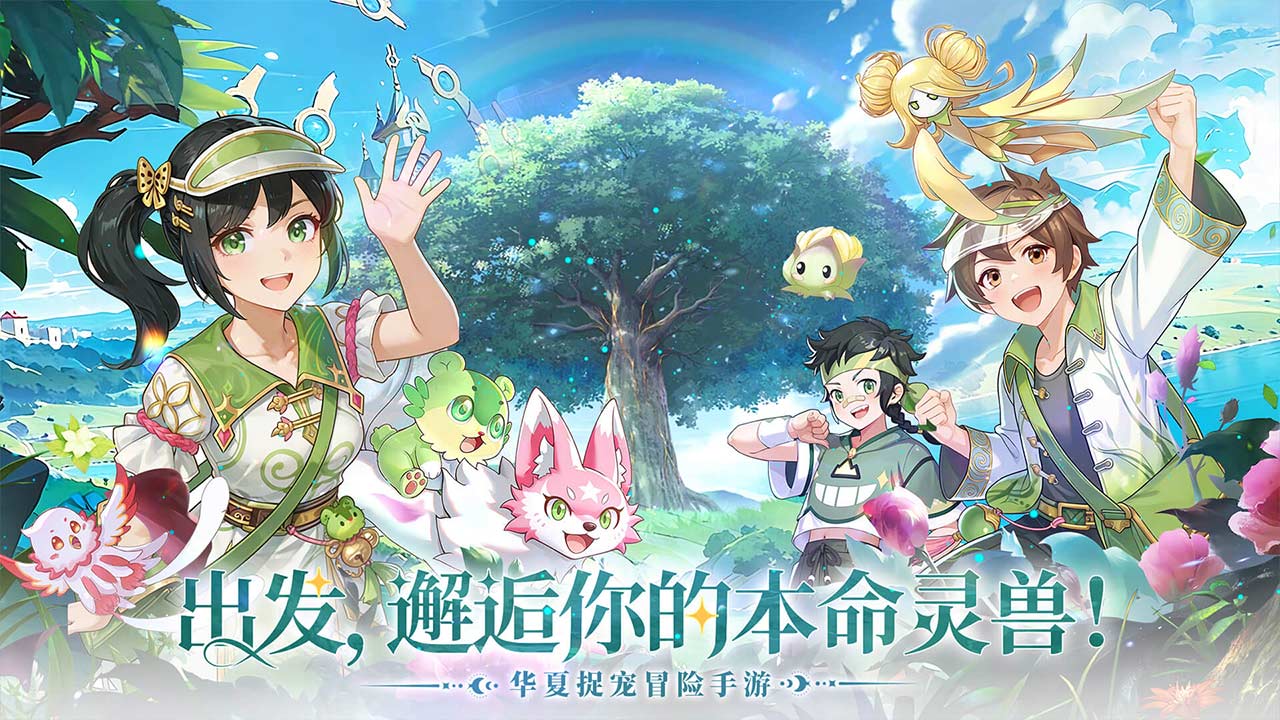 视频展示图