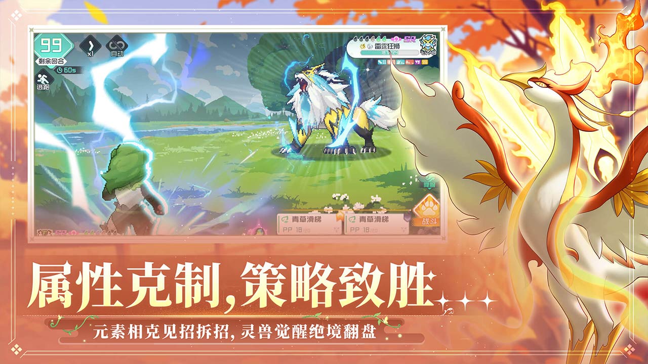 视频展示图
