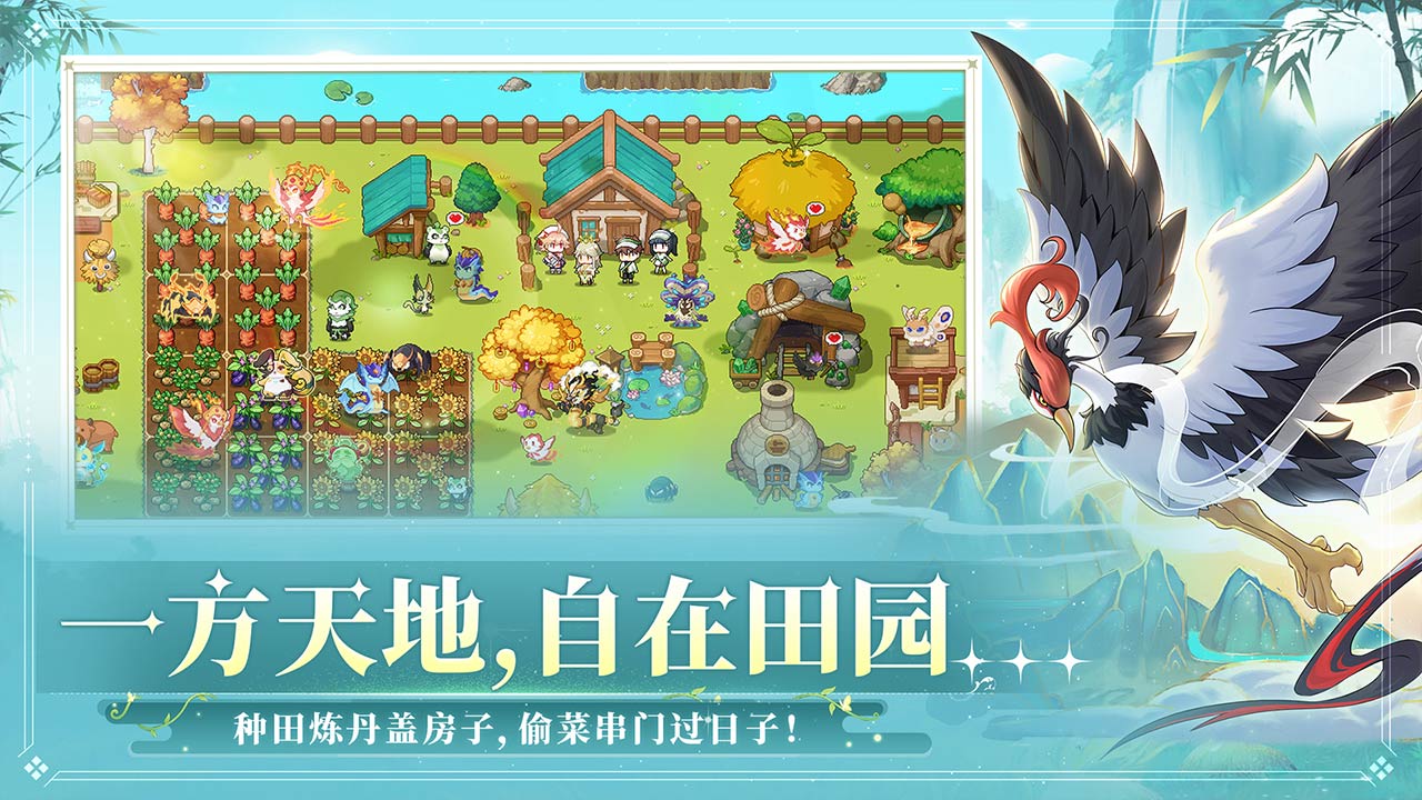 视频展示图