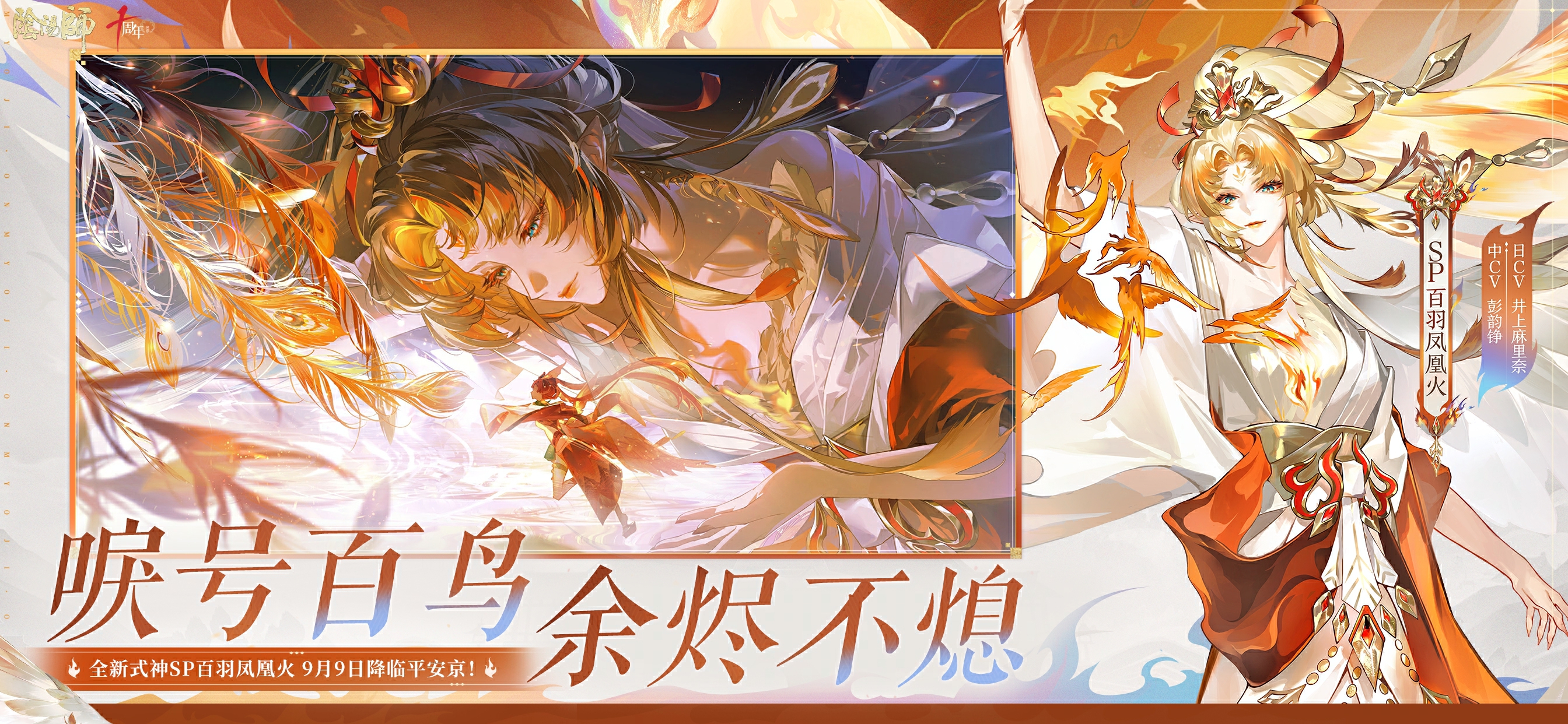视频展示图